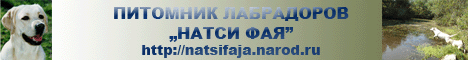 Питомник лабрадоров 'NATSI FAJA' FCI-РКФ Щенки лабрадора палевого и черного окрасов. Фотогалереи и многое-многое другое
